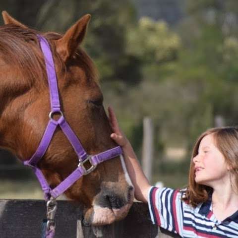 Photo: The Saddle Camp